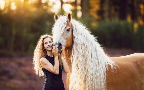 Những sự thật thú vị về loài ngựa - Loài động vật trung thành và thông minh